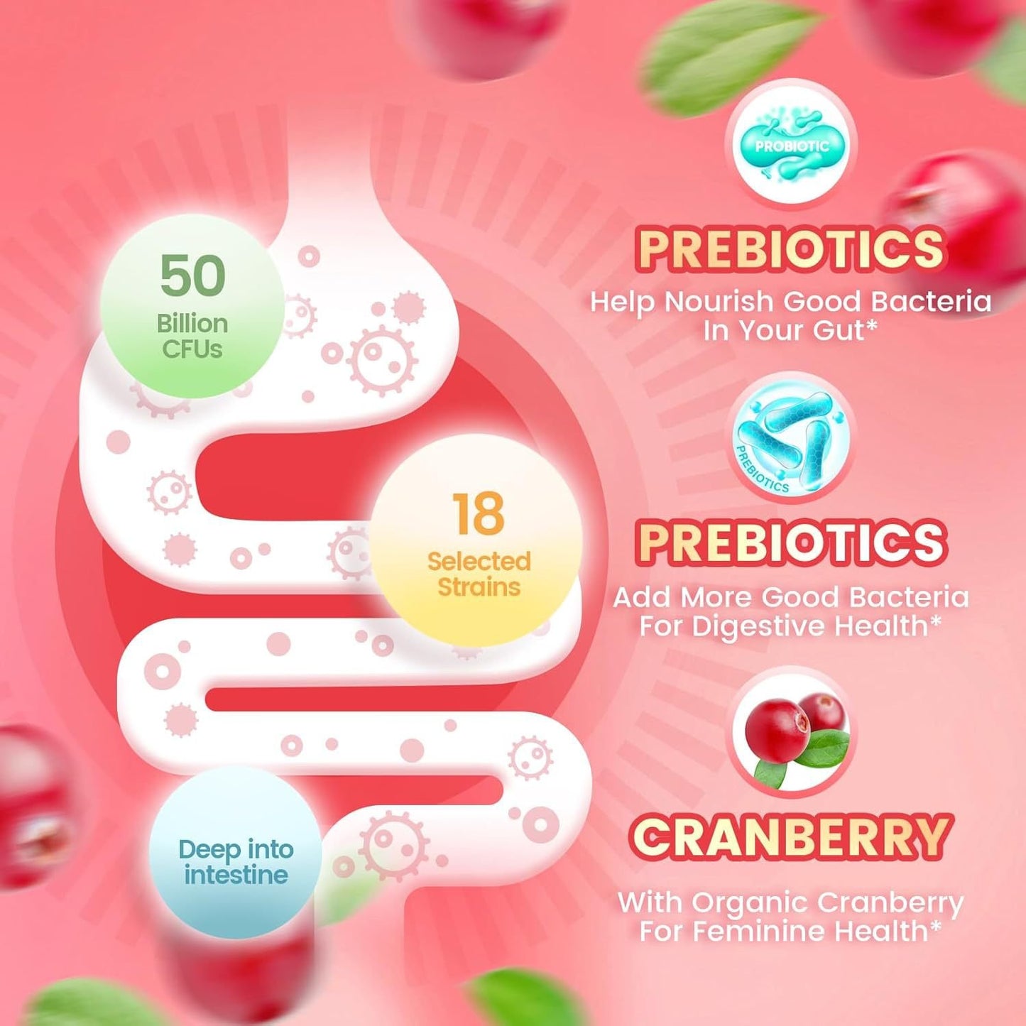 Cranberry Probiotic Gummies | Targeting Body Odor, Women's Health, and Body Balance |(60 Gummies per Pack)-V