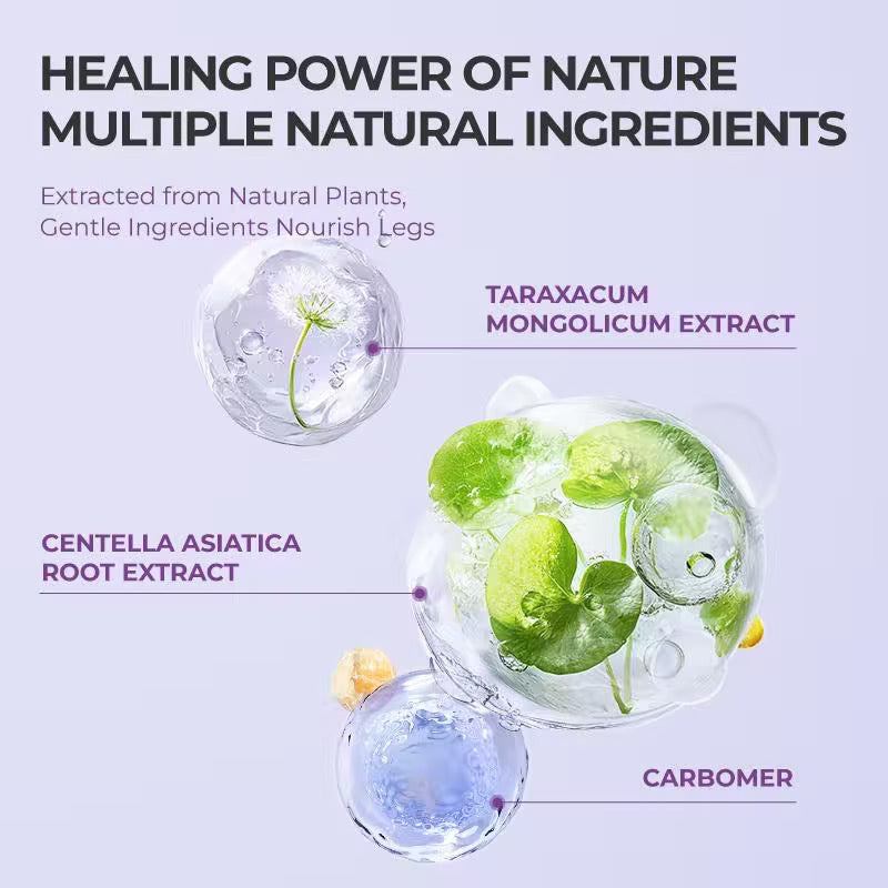 Varicose Vein Treatment Cream - Nature Ingredients Relieve Leg Pressure Centella Asiatica Root-V