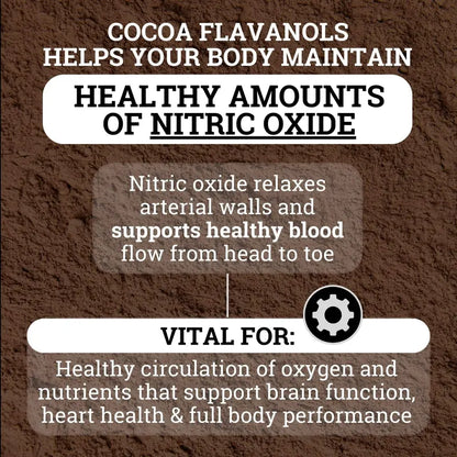 High Flavanol Cocoa Powder Supplements Cocoa Flavanols & Flavonoids | High Flavanol Cocoa Powder-V